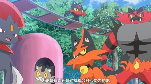 宝可梦 地平线,宝可梦地平线新篇章