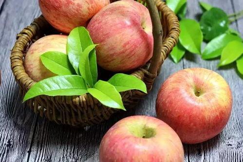 苹果的滋味,探寻果香四溢的甜蜜奥秘